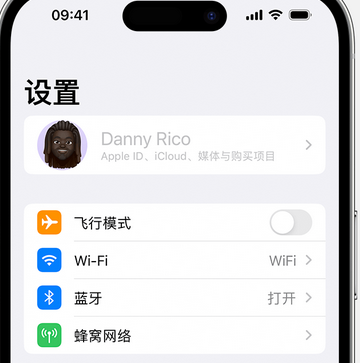 眉山appleID维修服务iPhone设置中Apple ID显示为灰色无法使用 