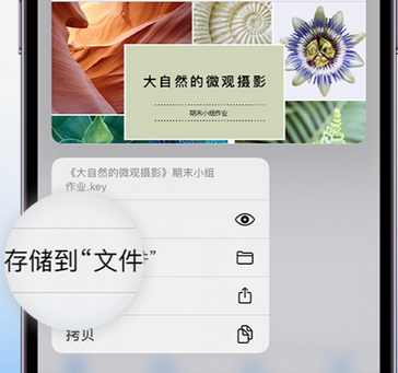 眉山apple维修中心分享iPhone文件应用中存储和找到下载文件