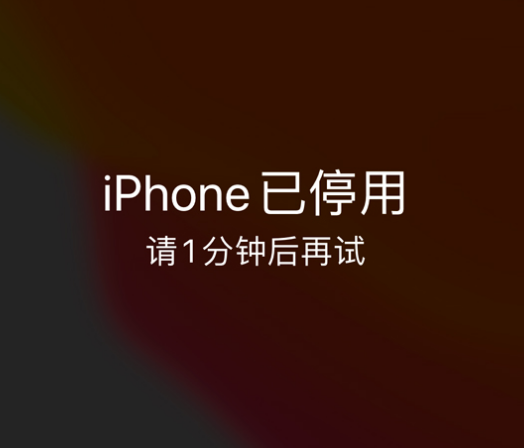 眉山苹果手机维修分享:iPhone 显示“不可用”或“已停用”怎么办？还能保留数据吗？ 