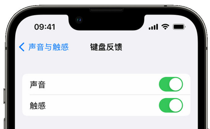 眉山苹果手机维修分享iPhone 14触感键盘使用方法 