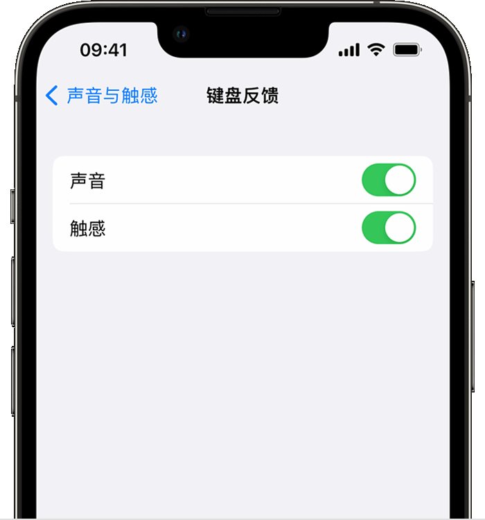 眉山苹果14维修店分享如何在 iPhone 14 机型中使用触感键盘 