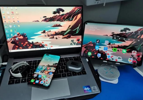 眉山苹果手机维修分享为什么iPad屏幕更大价格却比iPhone低 